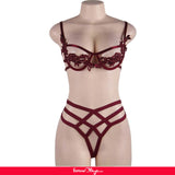 Wine Red Elegant Embroidery Fashion Bra Set With Steel Ring